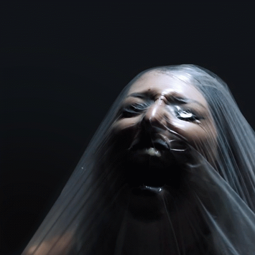 Stain The Canvas : Anima